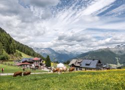 000190212 Speikboden Bergrestaurant 236