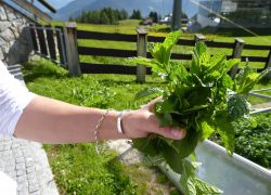 3000 13735596 877132245725945 6793655043101923193 O