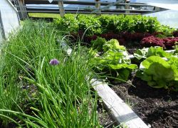 3000 13767164 877132369059266 776106632925770079 O