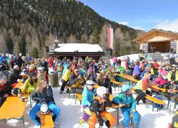 0190201 3 D S C 1526