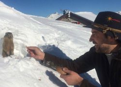 S 21 12622142 951732528228534 793402335640606838 O