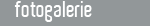fotogalerie
